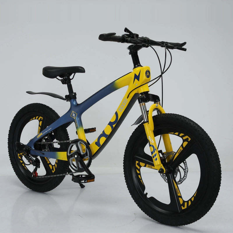 20 Inch Mountain Bike Mg Alloy Frame Suspension Bicycle Hebei Factory