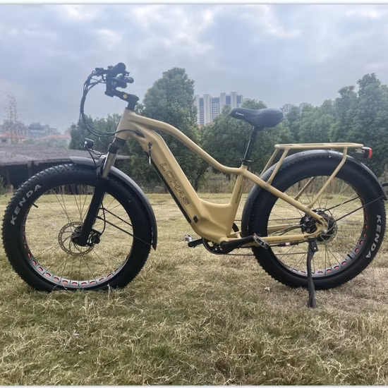 Pneu gordo MTB 26*4.0 350W*2 motores de cubo duplo bicicleta elétrica